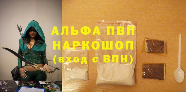 spice Вяземский